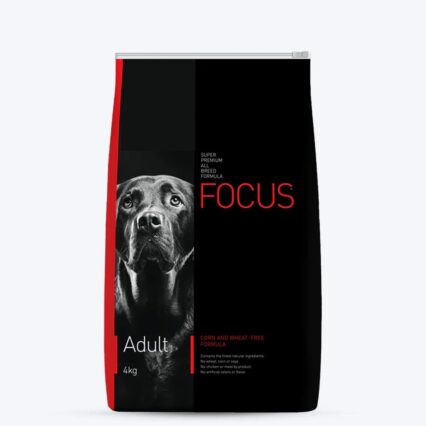 DROOLS FOCUS ADULT 4KG