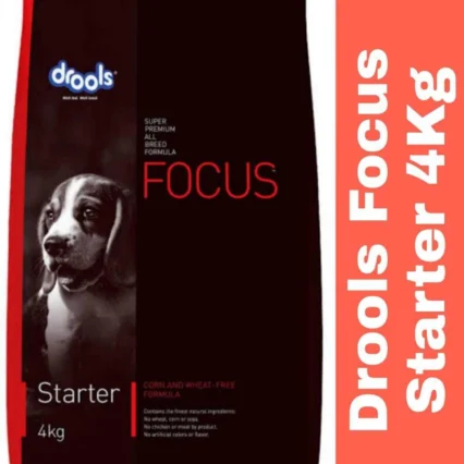 DROOLS FOCUS STARTER 4KG