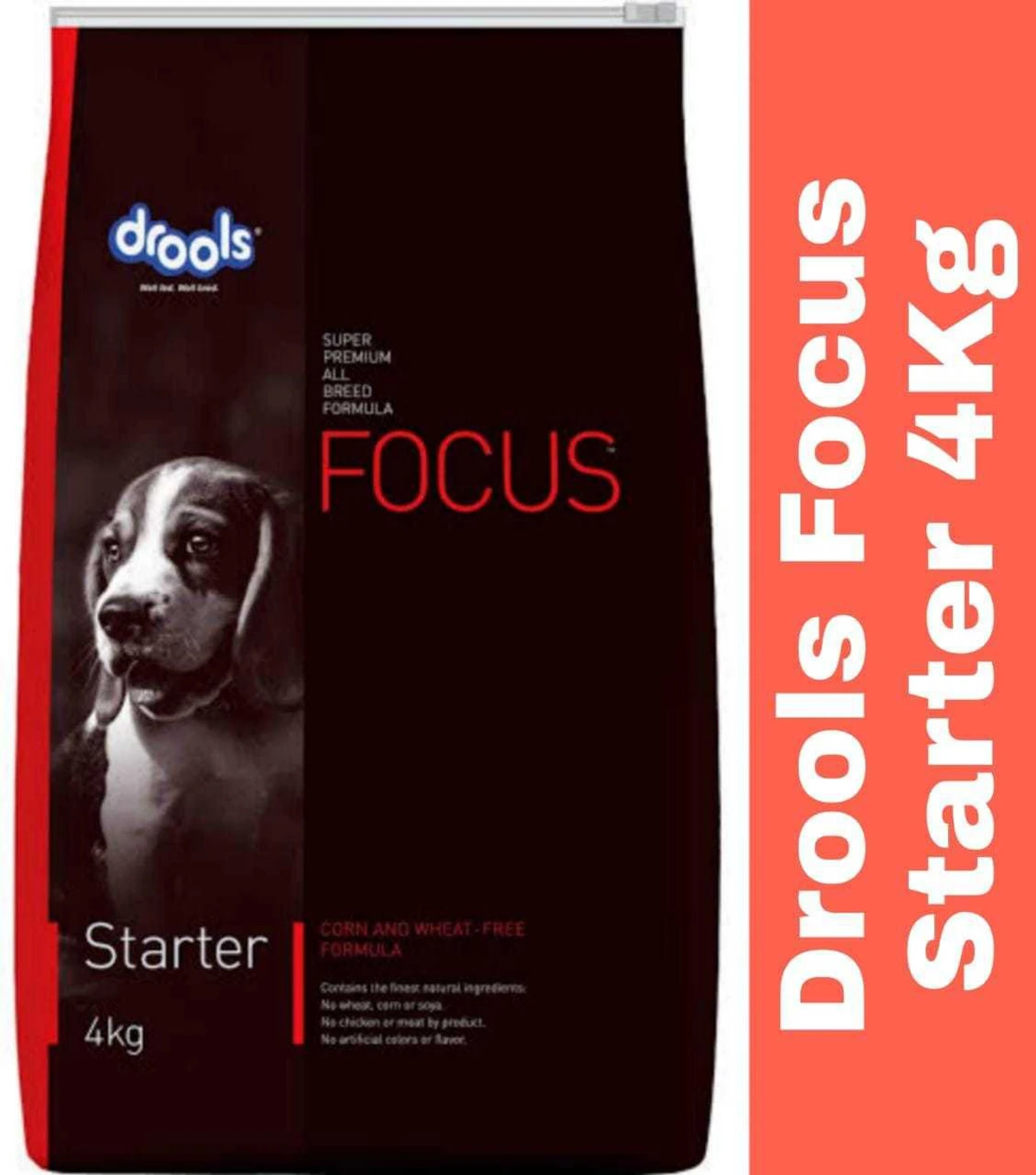 DROOLS FOCUS STARTER 4KG