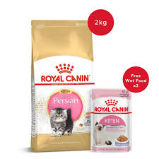 RC PERSIAN KITTEN 2KG