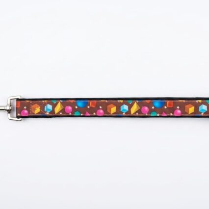 CANDY PRINT PET LEASH 1